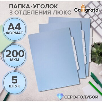 Набор папок уголков, а4, 200 мкм, 5 штук