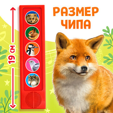 Музыкальная развивающая игрушка