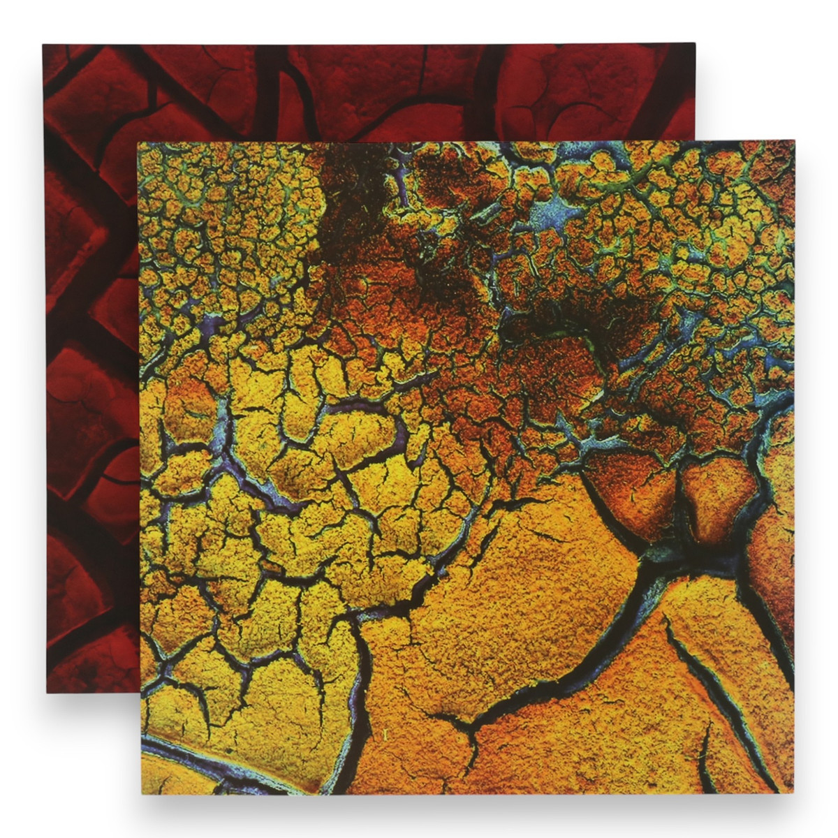 

Фотофон для съемок, двусторонний, картон, плотность 350 г, Красный;желтый