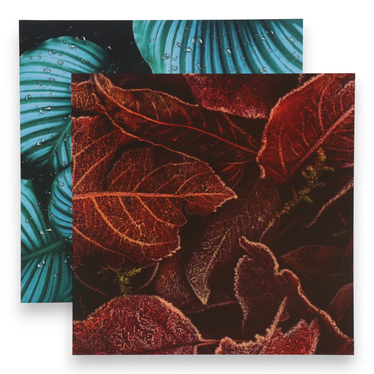 

Фотофон для съемок, двусторонний, картон, плотность 350 г, Зеленый;бордовый