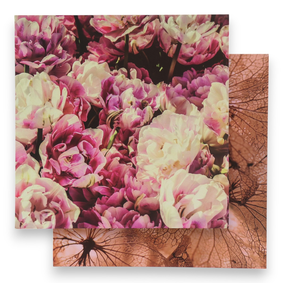 

Фотофон для съемок, двусторонний, картон, плотность 350 г, Коричневый;розовый