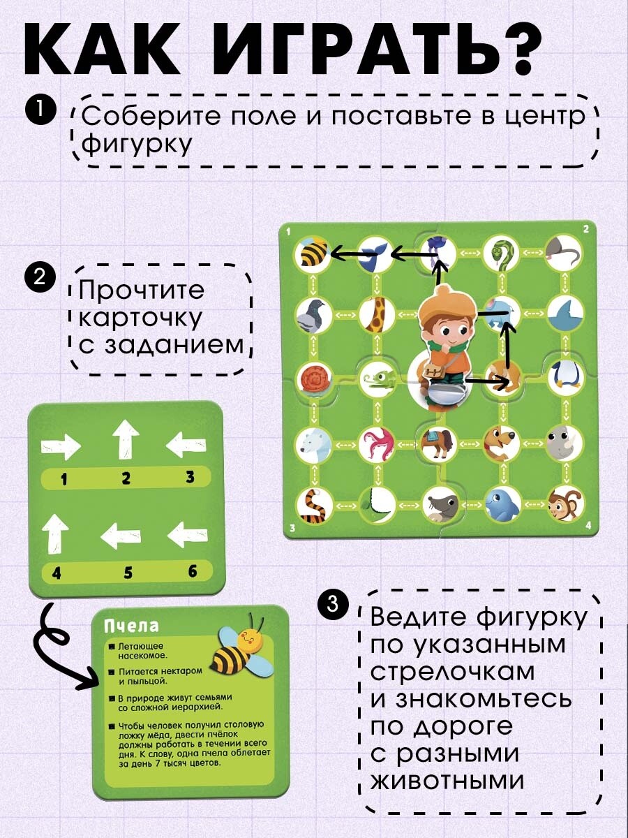 

Развивающая игра, Разноцветный