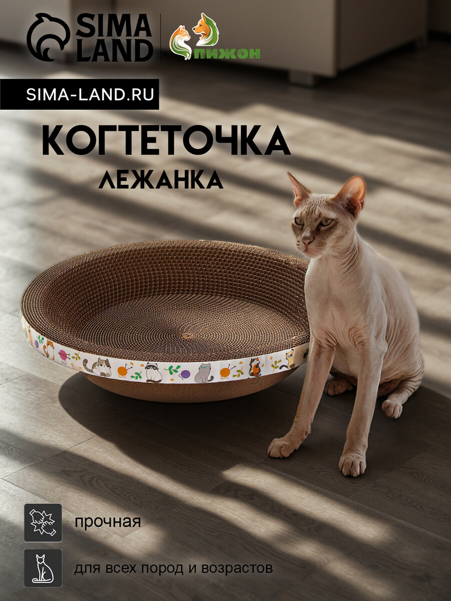 

Когтеточка-лежанка, Коричневый