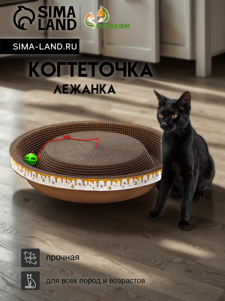 

Когтеточка-лежанка, Коричневый