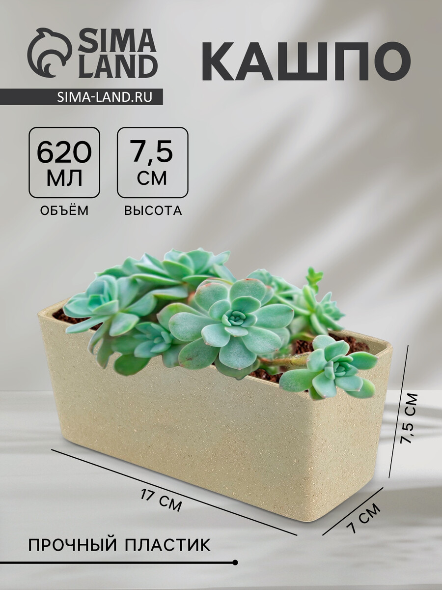 

Кашпо для цветов weatfiber, пластик, 17×7×7.5 см, бежевое, Бежевый