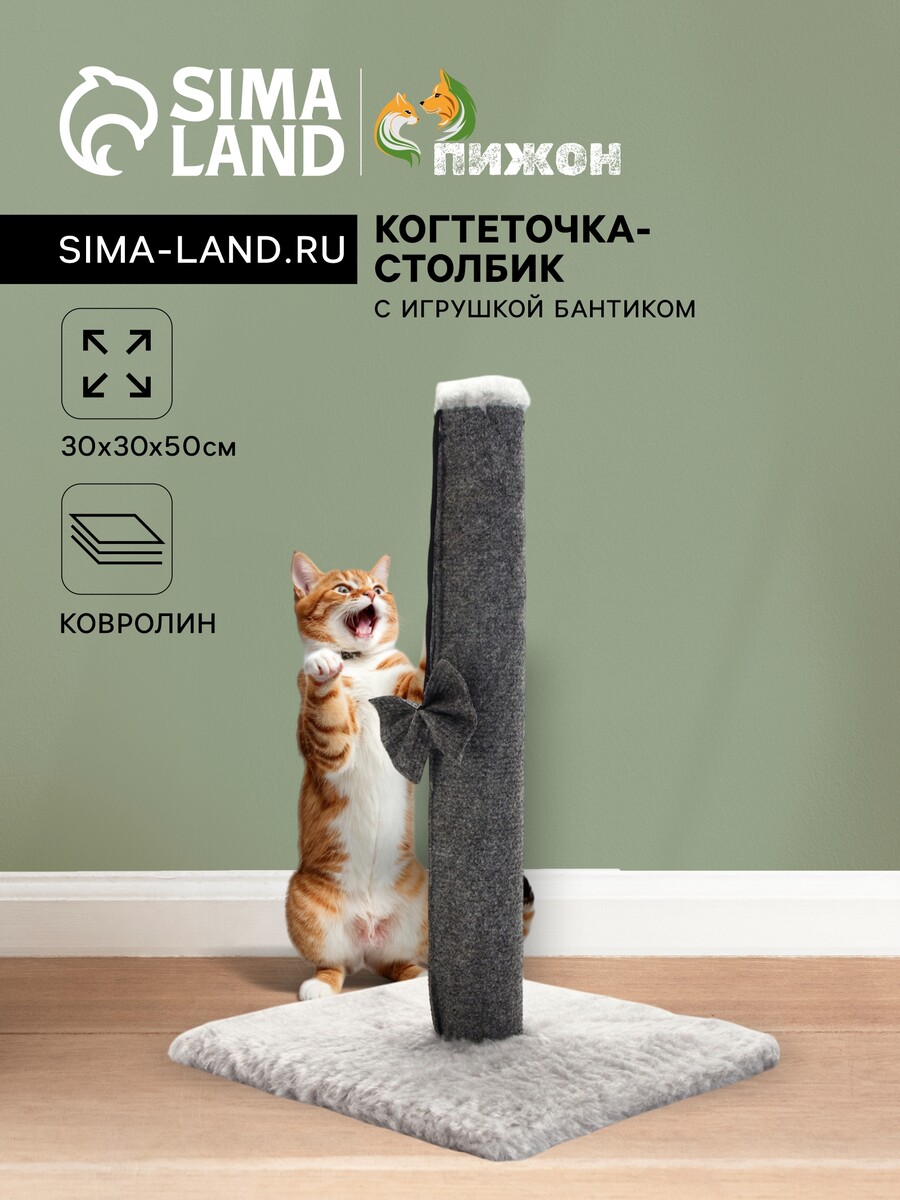 

Когтеточка-столбик, Серый