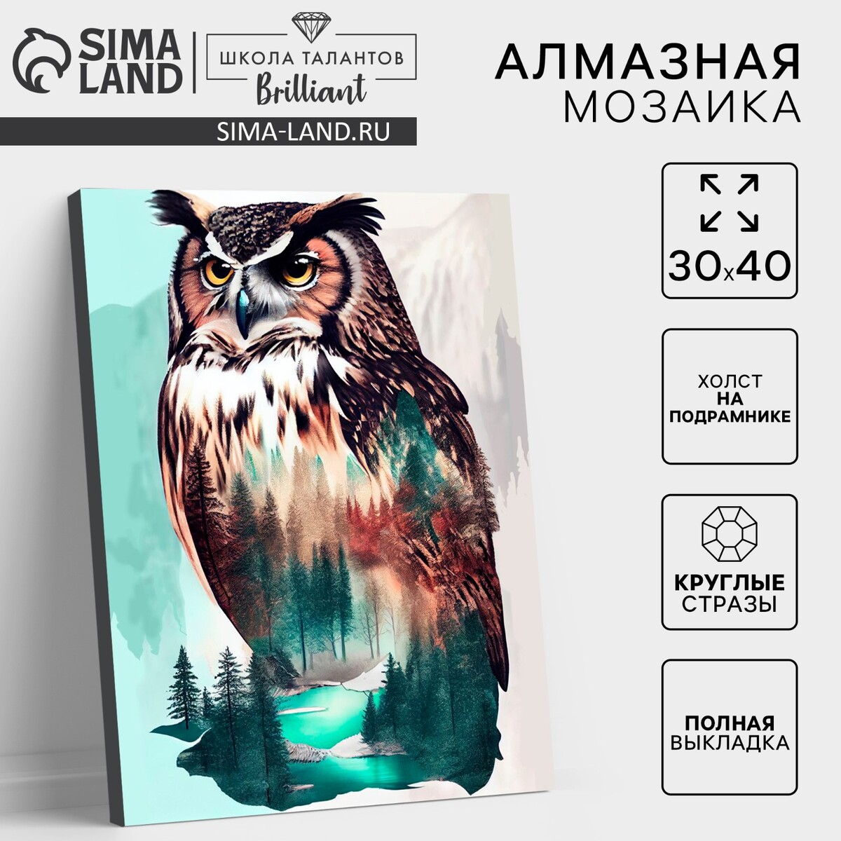 

Алмазная мозаика с полным заполнением на холсте с подрамником