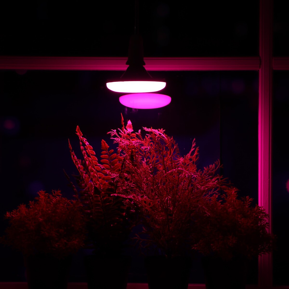 

Фитолампа для растений, светодиодная, ufo, e27, 16 вт, ip20, 220 в, d=120 мм, 120°, мультиспектральная