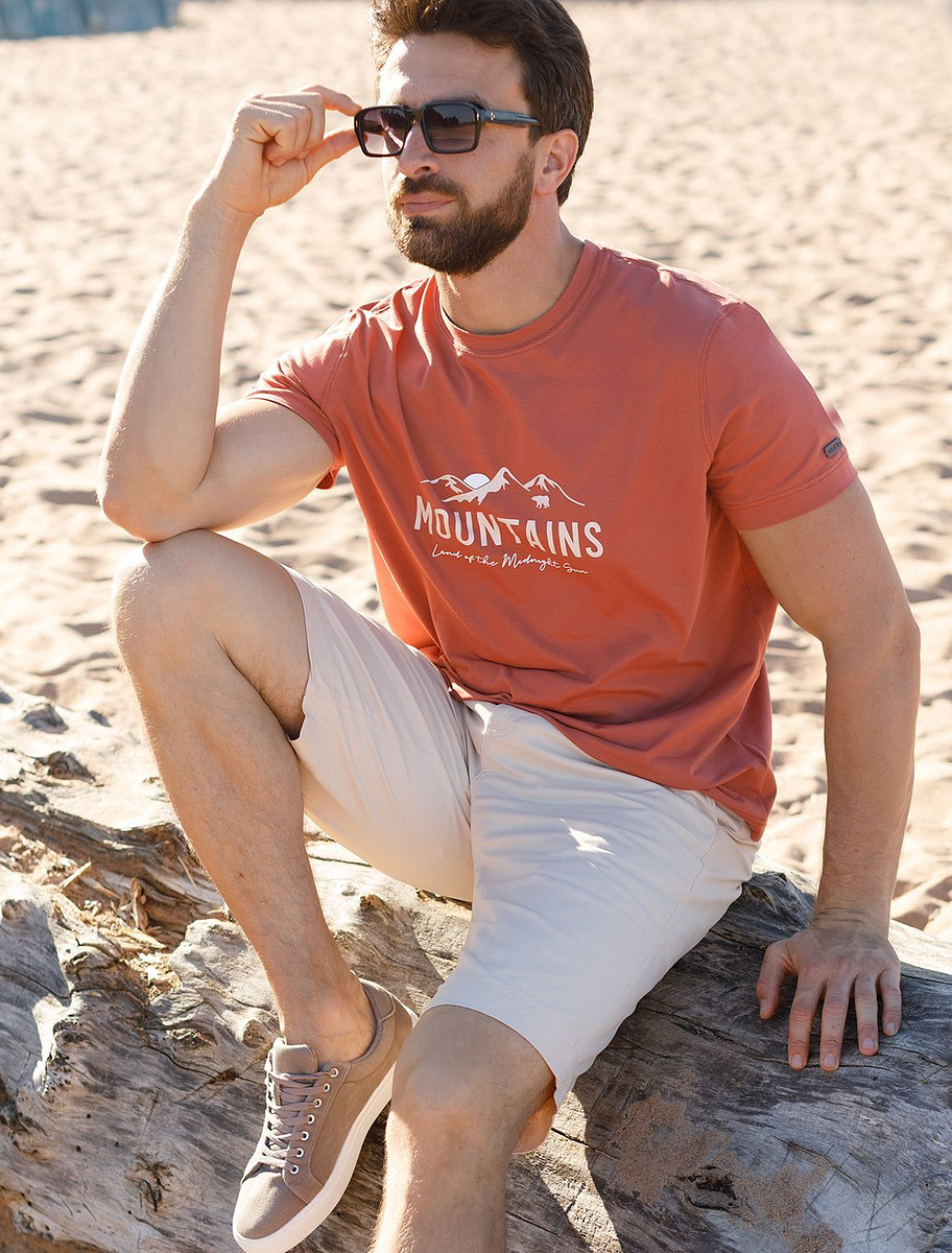 

Футболка, Коричневый;кирпичный_горы