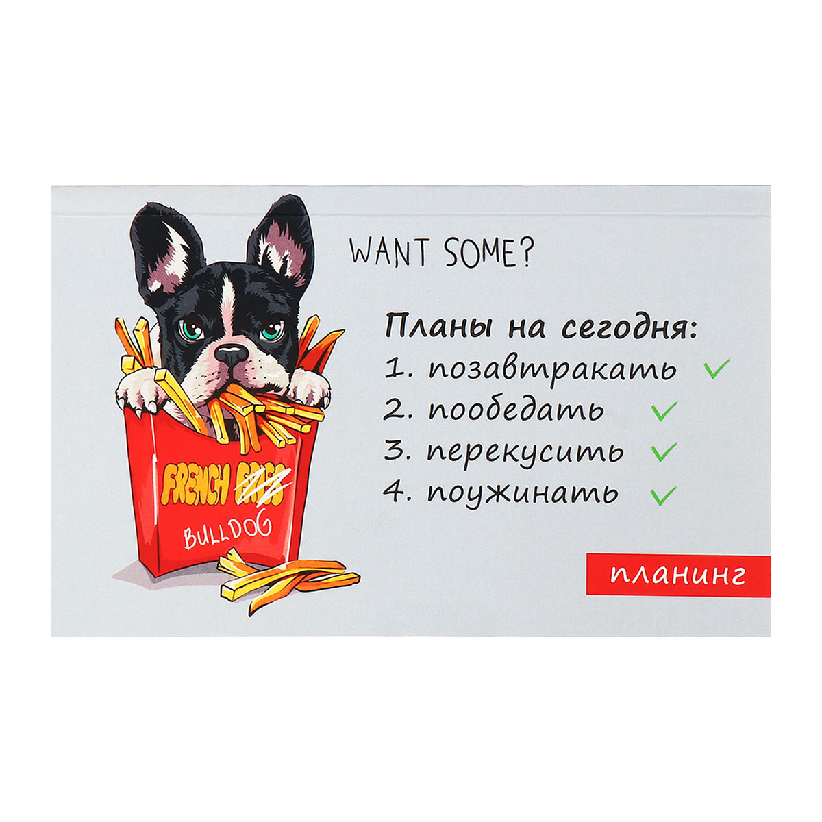 

Планинг недатированный calligrata, Разноцветный