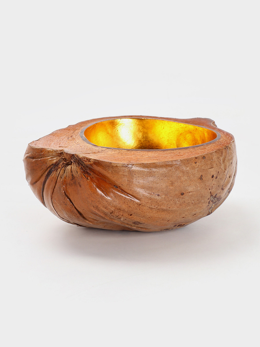 

Чаша из кокоса, 22×24.5×9 см, коричнево-золотая, Коричневый