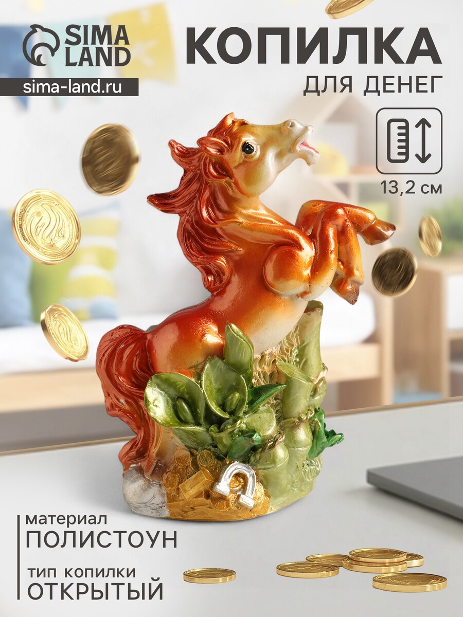 

Копилка для денег, Разноцветный