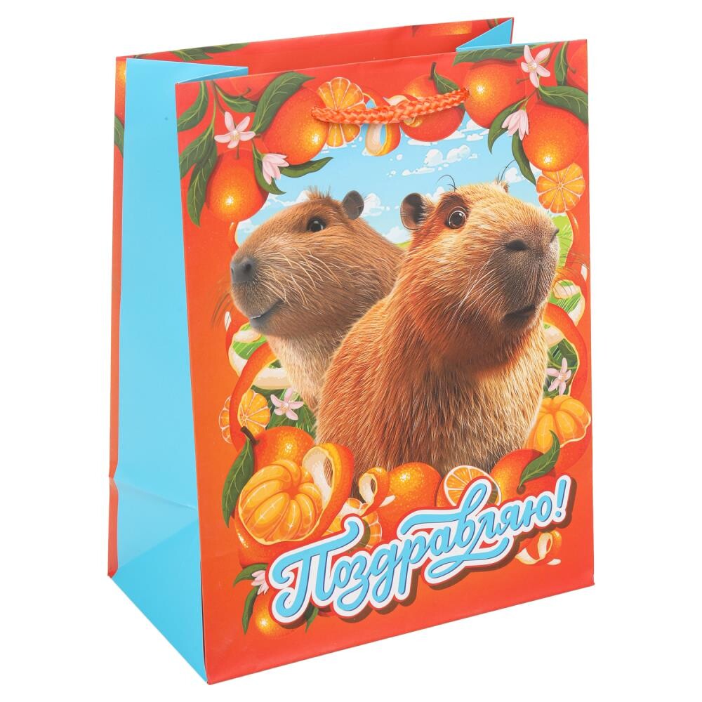 

Подарочный пакет ЧУДО ПРАЗДНИК PM-128832-KA