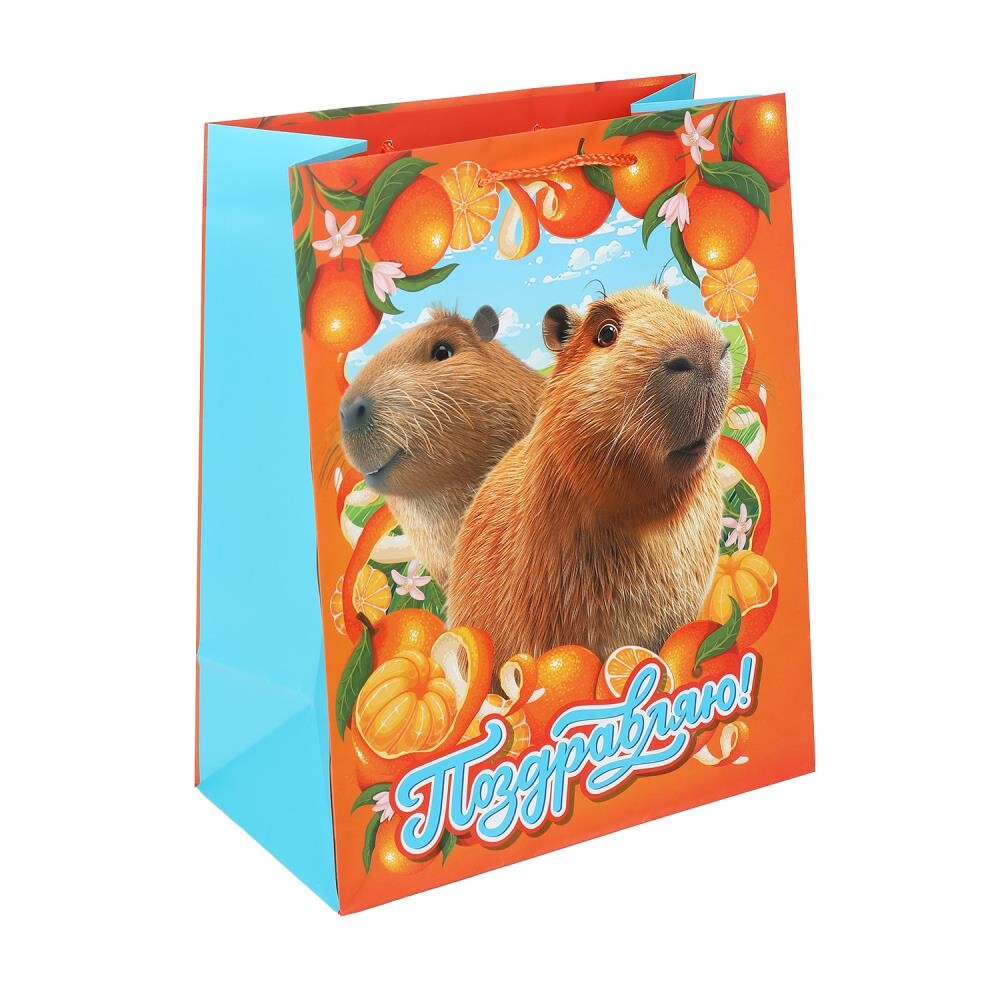 

Подарочный пакет ЧУДО ПРАЗДНИК PL-128834-KA