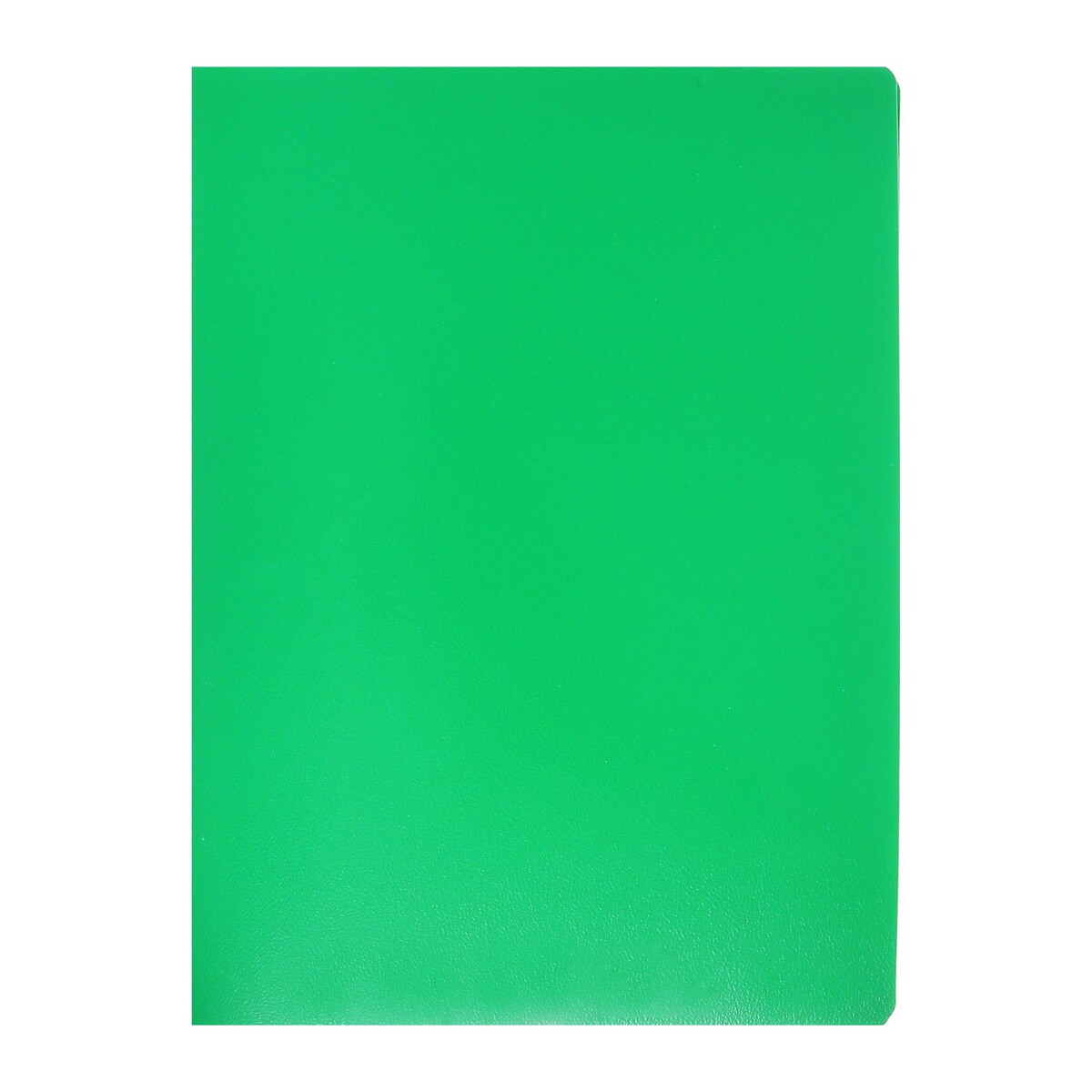 

Папка с 20 вкладышами а5, 500 мкм, calligrata, текстура, Зеленый