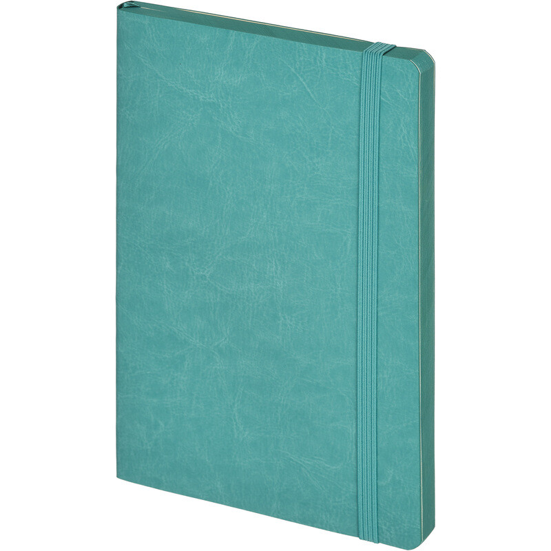 

Ежедневник недатированный Attache Flex искусственная кожа Soft Touch А5 136 листов бирюзовый с фиксирующей резинкой (бирюзовый обрез)