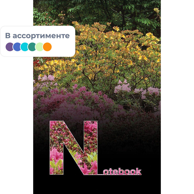 

Блокнот Attache А5 32 листа в ассортименте в клетку на скрепке (135x190 мм)