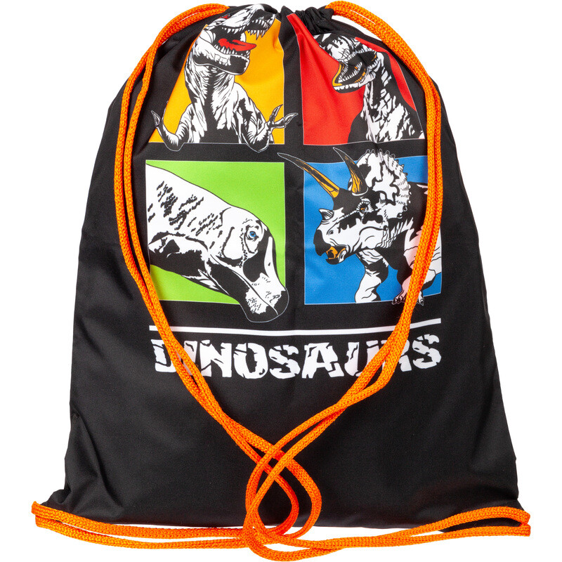 

Мешок для сменной обуви Комус Класс (№1 School) Dinosaurs 330x420 мм черный с 1 отделением