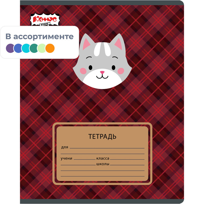 

Тетрадь школьная Комус Класс Преппи А5 18 листов в клетку (ВД-лак)