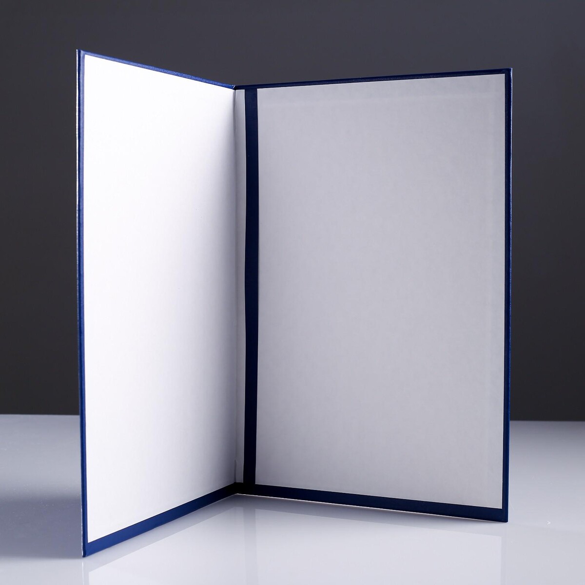 

Папка адресная