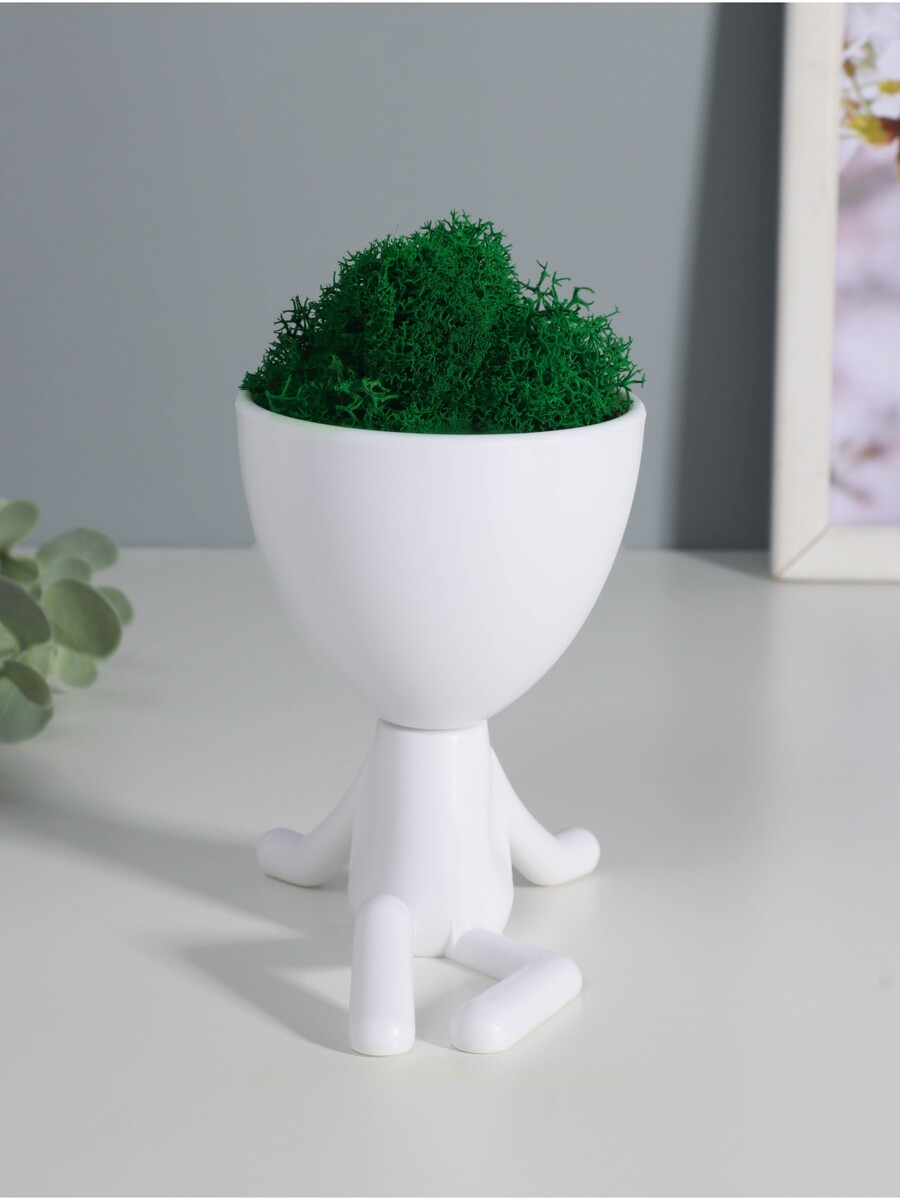 

Стабилизированный мох в кашпо пластиковом, Белый