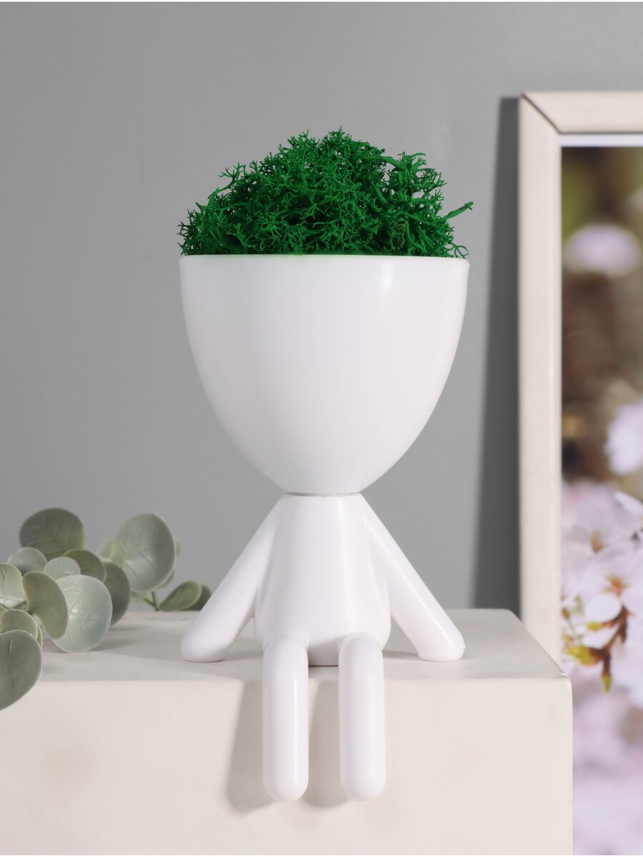 

Стабилизированный мох в кашпо пластиковом, Белый