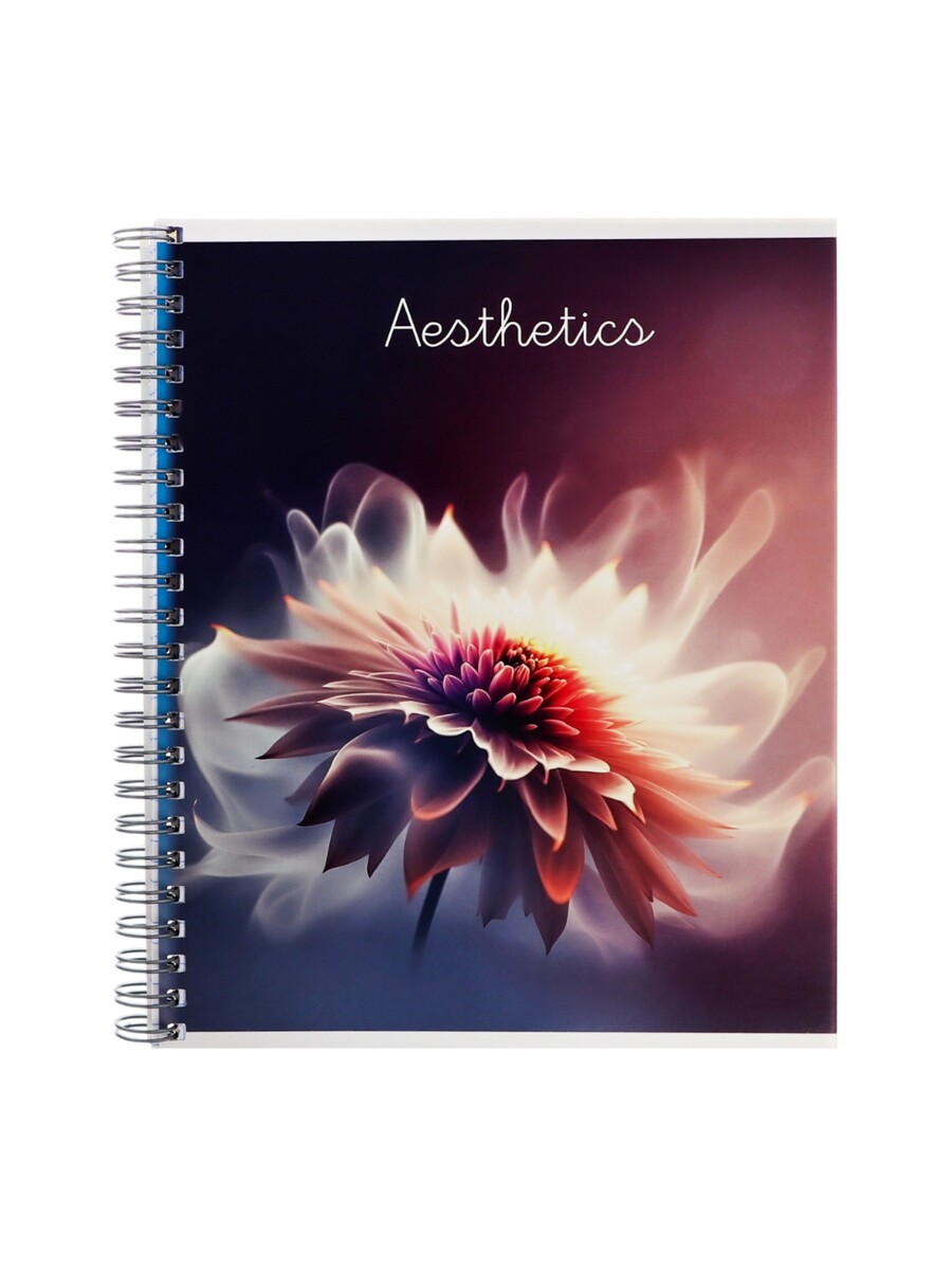 

Компл тетр из 3шт 96л кл на гребне эстетика, обл мел карт, глянц лам, офсет (10246943)