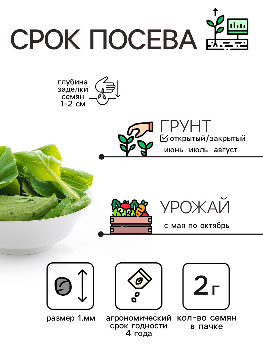 

Семена шпинат