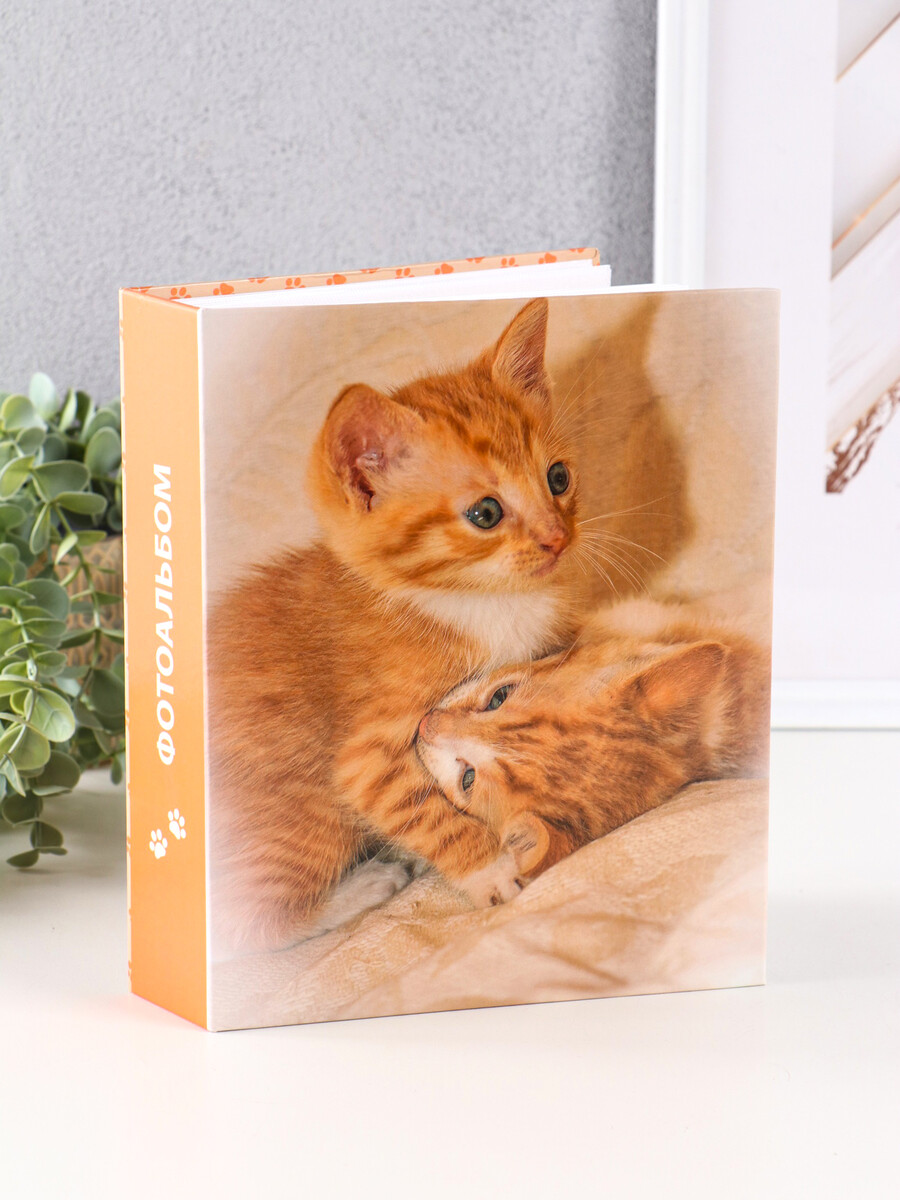 

Фотоальбом на 200 фото 10×15 см