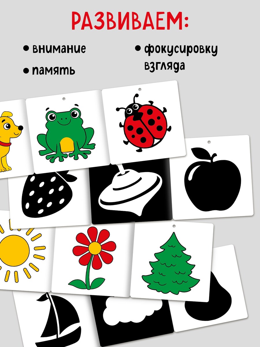 

Книжки - гармошки картонные