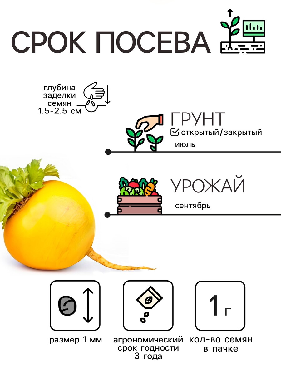 

Семена репа