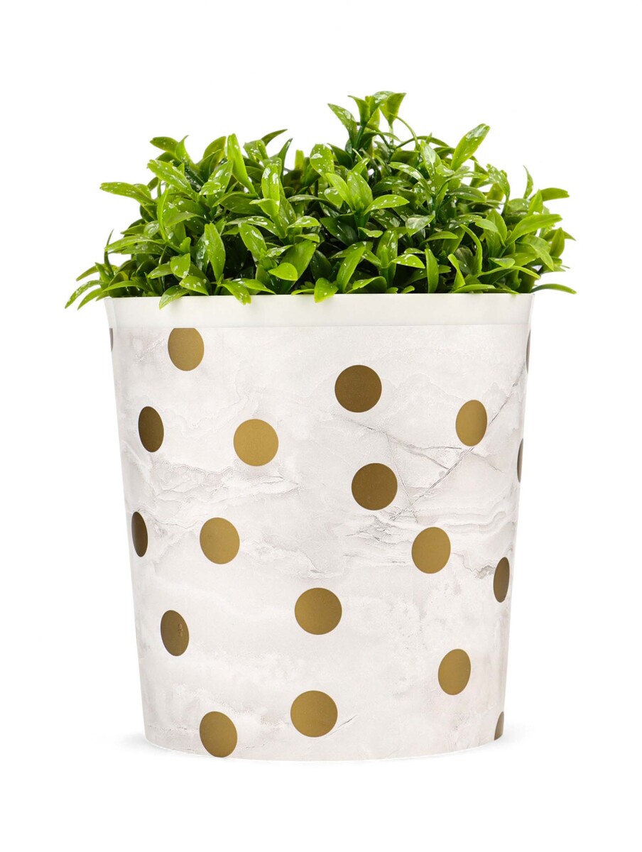 

Кашпо для цветов, Белый;золотистый