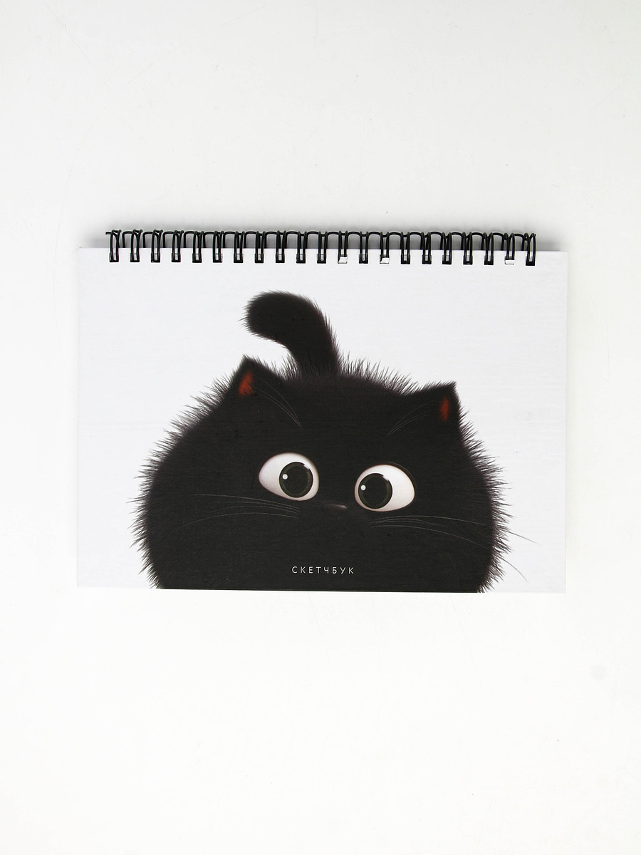

Скетчбук в твердой обложке на гребне а5 80 л 100 г/м