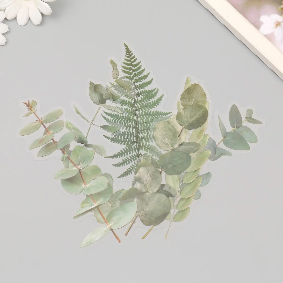 

Наклейки пластик, Зеленый