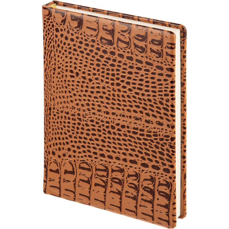 

Ежедневник недатированный Attache Caiman bicolor натуральная кожа А5 160 листов коричневый