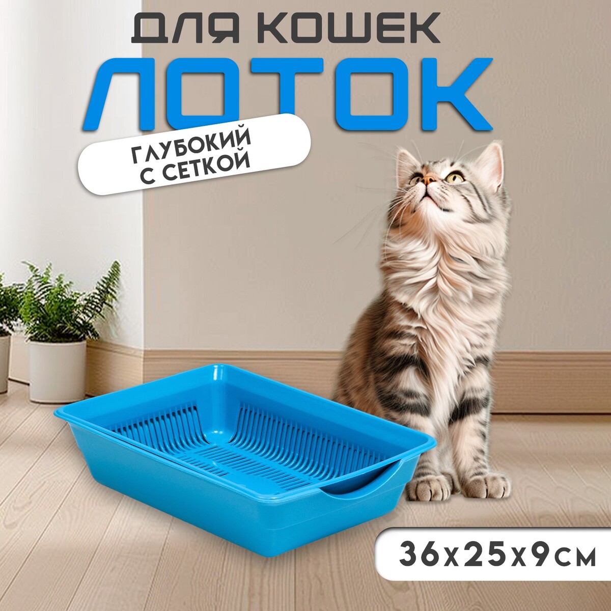 

Туалет для кошек, 36×25×9 см, глубокий, с сеткой, пластик, голубой