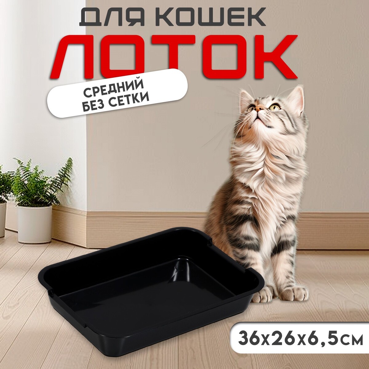 

Туалет средний без сетки 36×26×6.5 см, черный