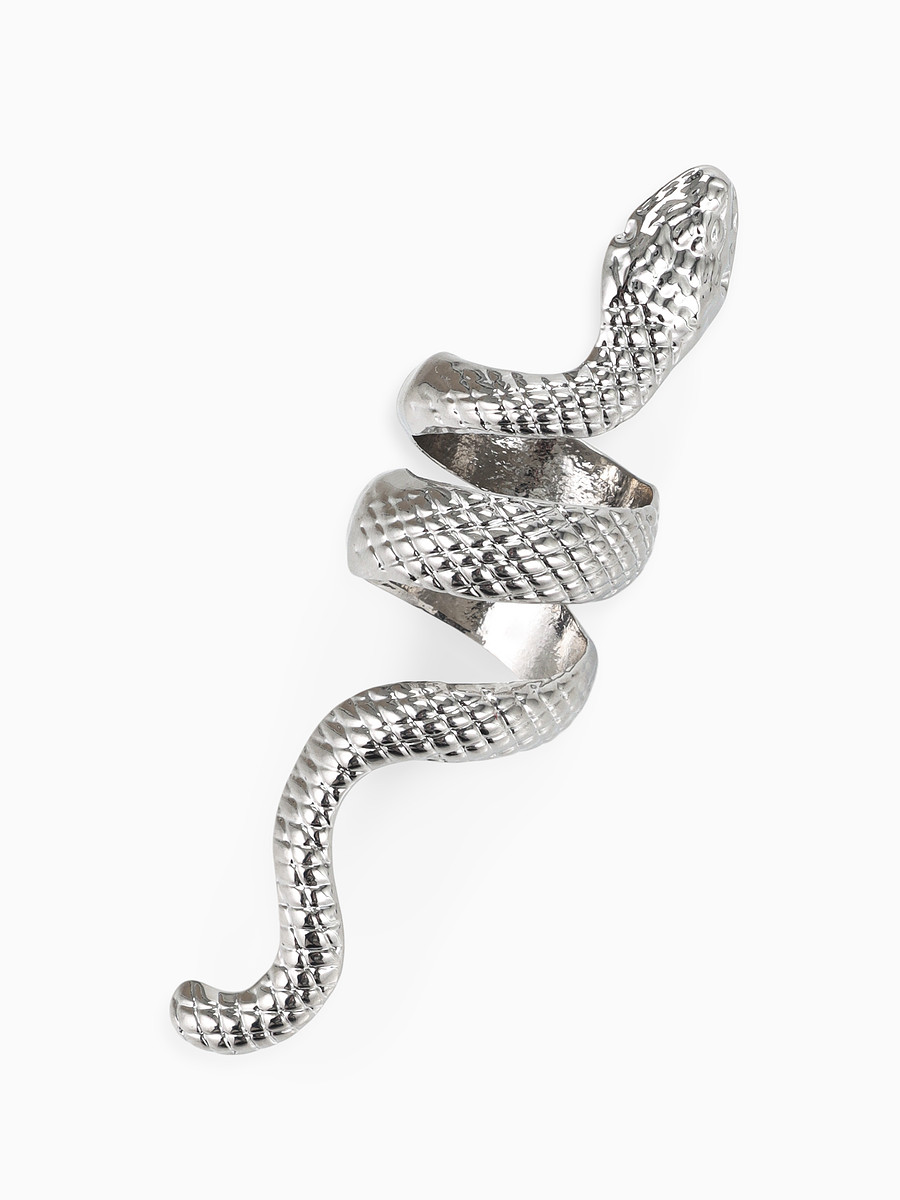 

Кольцо, Серебристый