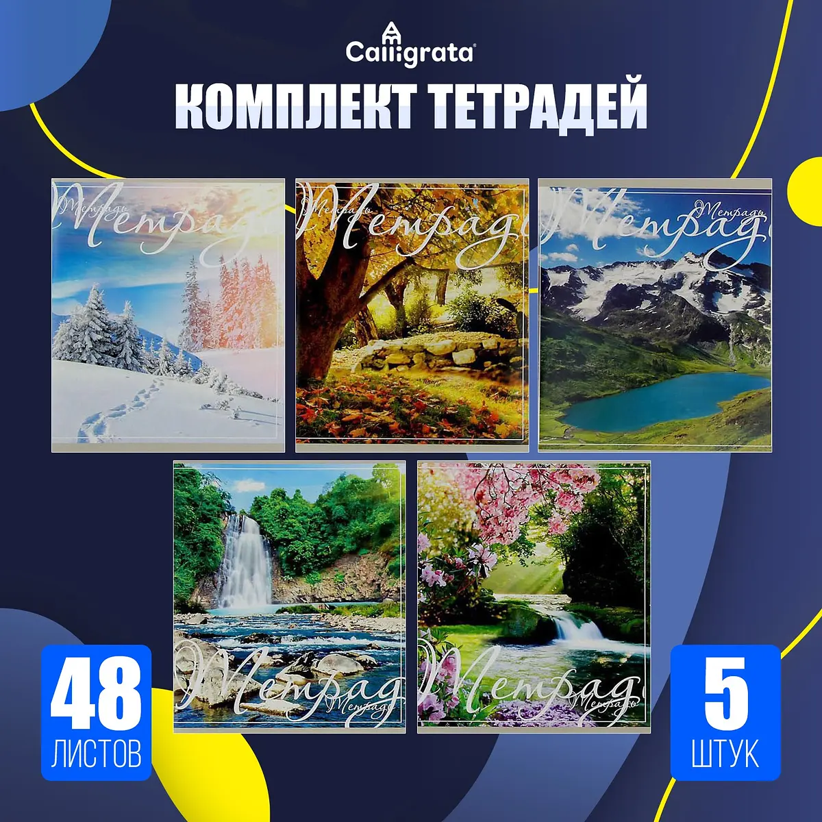 

Набор тетрадей 48 листов в клетку calligrata, Разноцветный;микс