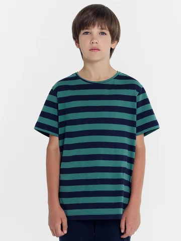 Футболка для мальчиков в зелено-синюю по