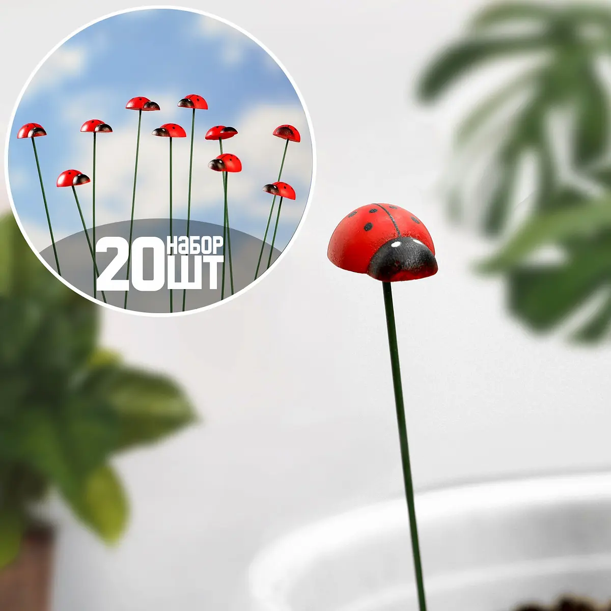 

Штекер садовый, Красный