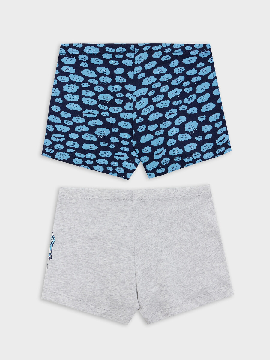 

Трусы для мальчиков мультипак (2 шт.), Разноцветный;серый меланж 4306-а +тучки на синем