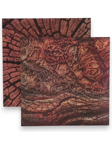 Фотофон для съемок, двусторонний, картон