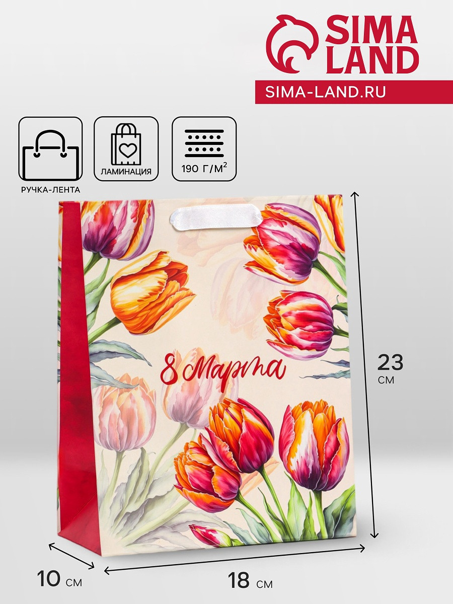 

Пакет подарочный вертикальный, Разноцветный