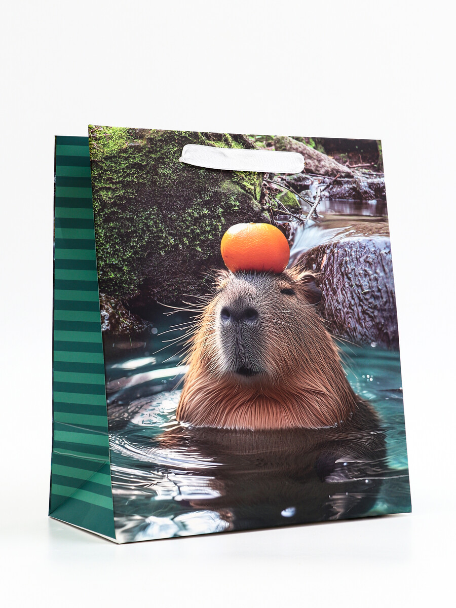 

Пакет подарочный вертикальный, Разноцветный