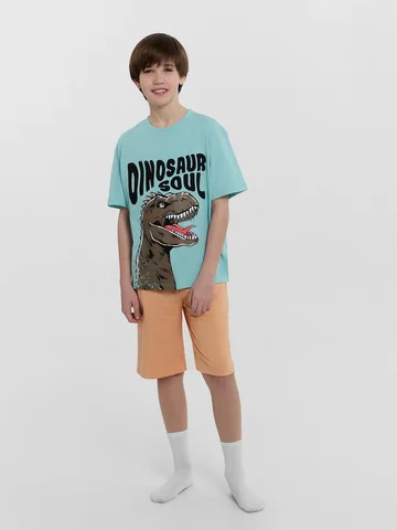 Комплект для мальчиков (джемпер, шорты)