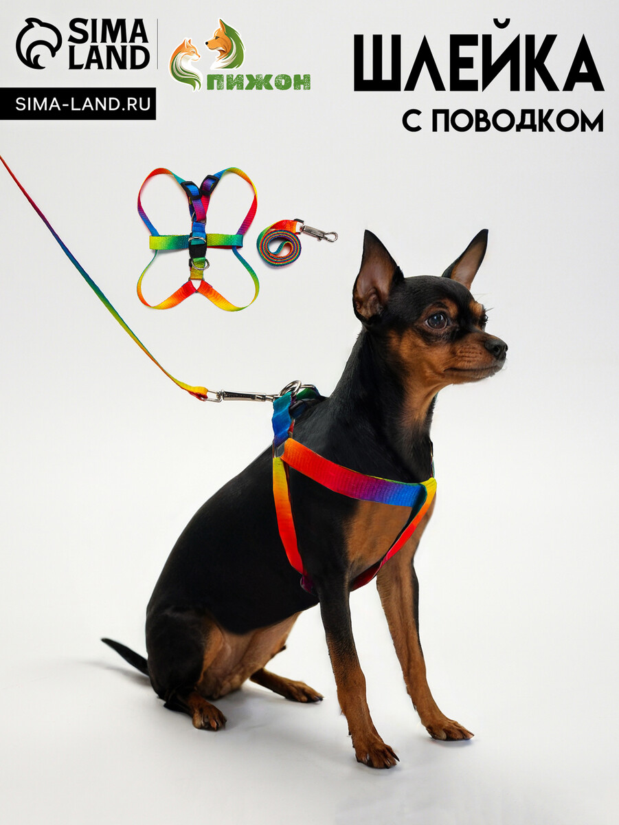 

Шлейка с поводком, Разноцветный