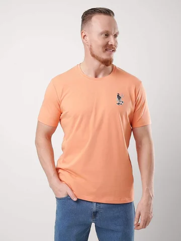 Футболка CLEVER