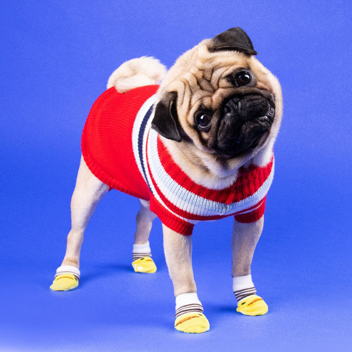 

Свитер, Красный