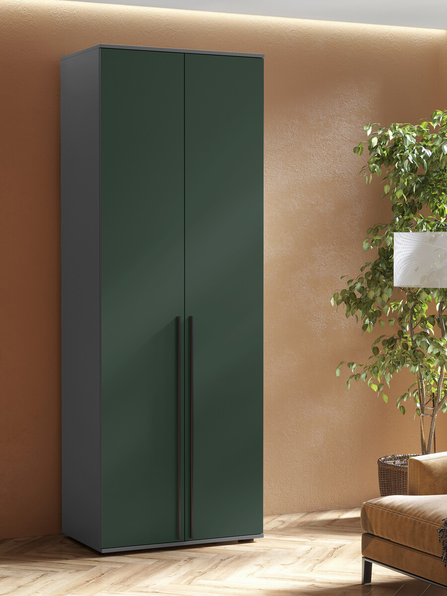

Шкаф прямой двухстворчатый, Серый;зеленый